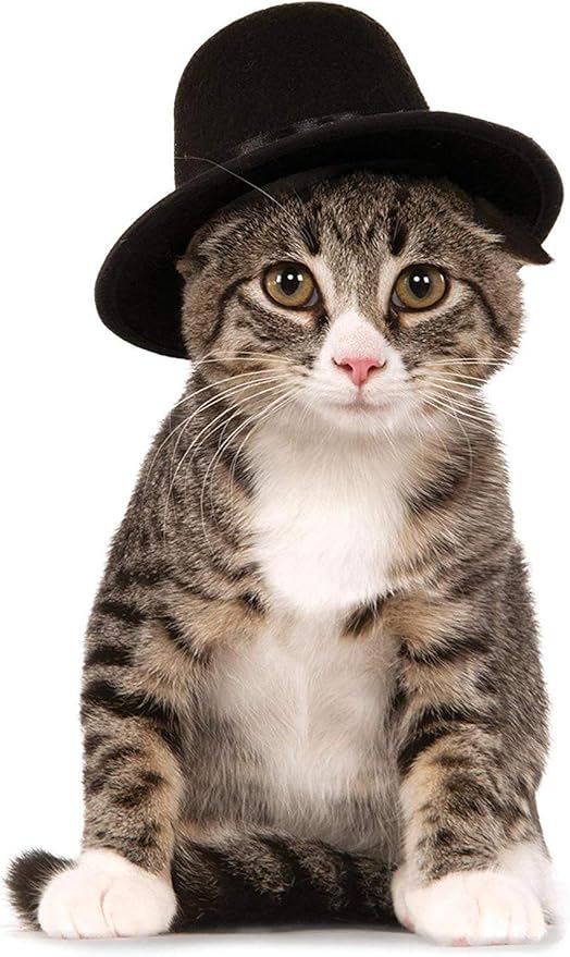 Rubies Top Hat Pet Hat for Dogs or Cats, S/M