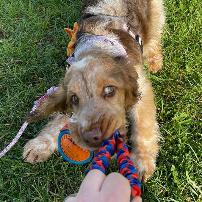 Tug-E-Nuff Pocket PowerBall Bungee | Shock Absorbing Bungee Handle | Durable Ball Toy for Dogs | Ideal for Interactive Dog Training and Dogs of All Ages | 23 cm (9 inches) in Size