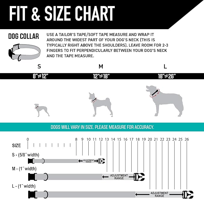 Wolfgang Heavy Duty, Adjustable Dog Collar with Quick Release Nylon Buckle for Walking & Training, LazyDaisy Print, Medium