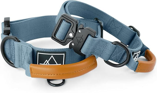 Made to ROAM Premium Explorer Control Collar - Adjustable Heavy Duty Nylon Dog Collar with Quick-Release Metal Buckle and Handle (California Horizon, Control Size 4)