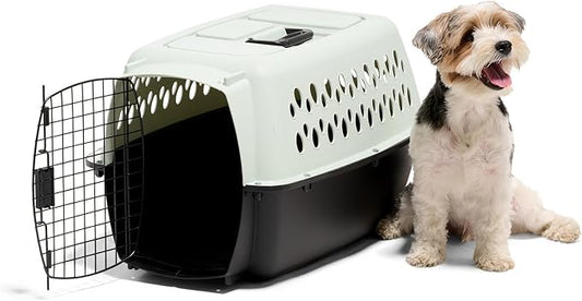 Petmate Pet Porter Fashion Dog Kennel Plastic Crate for Pets 15-20 lbs, Pet Carrier For Home and Travel, Made in USA, 24" L x 14.5" H, Pale Aqua and Black