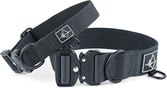 Made to ROAM Premium Dog Collar - Adjustable Heavy Duty Nylon Collar with Quick-Release Metal Buckle (New York Afterlight, Classic Size 1)