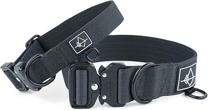 Made to ROAM Premium Dog Collar - Adjustable Heavy Duty Nylon Collar with Quick-Release Metal Buckle (New York Afterlight, Classic Size 0)