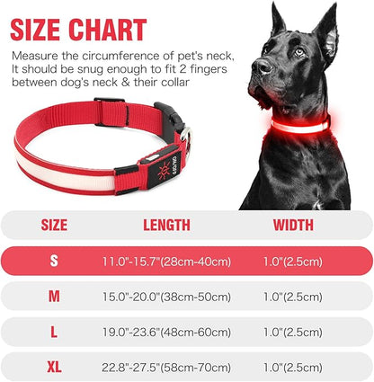 Illumifun Light Up Collar for Small Dogs, USB Rechargeable LED Dog Collar Glowing in The Dark, Safety Collar Light for Your Pups (Red, Small)