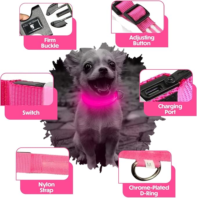 Light Up Dog Collar – Reflective, Adjustable & Rechargeable Electronic Glow Pet Collars – Bright, Comfortable, High Visibility LED Dog Collar for Night Safety, Outdoor Walk, Flashing Fun, Pink, Medium