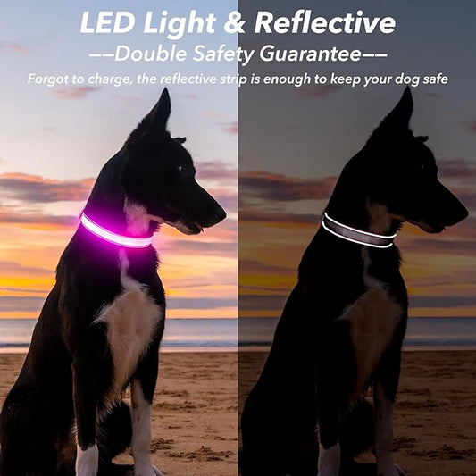 Visinite LED Dog Collar USB Rechargeable, Reflective Light Up Pet Collar for Night Walking, Adjustable Glow Collar for Small Medium Large Dogs (Pink, M)