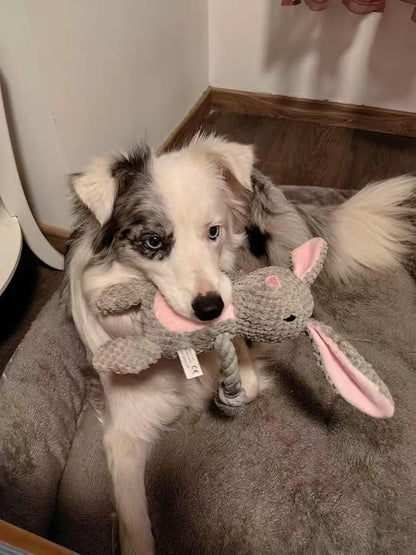 Bunny Dog Toy with Rope Arms – Squeaky Plush Rabbit for Small & Medium Dogs, Soft Chew & Tug Toy for Interactive Play, Easter Puppy Toy Gift