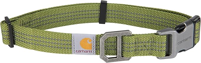 Carhartt Nylon Webbing Dog Collar, Fully Adjustable W/Durable Side Release Buckle, Light Moss, Medium