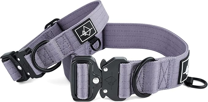 Made to ROAM Premium Dog Collar - Adjustable Heavy Duty Nylon Collar with Quick-Release Metal Buckle (Montana Moonrise, Classic Size 4)