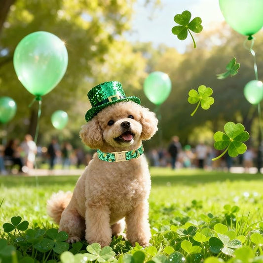 St. Patrick's Day Dog Collar for Small Dogs - Lucky Festival Dog Collars, Green Clover & Floral Pattern, Adjustable Heavy Duty Spring Dogs Collar with Metal Buckle S