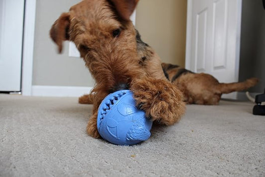 Jolly Pets Monster Ball Bouncing Dog Toy/Treat Holder, 3.5 Inches, Blue