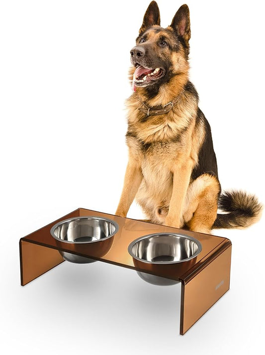The LICKER Store DBL2001D Keaton 7.5" Medium/Large Modern Acrylic Rectangular Elevated Pet Feeder with 54oz 2-Stainless Steel Bowls, Amber/Chrome