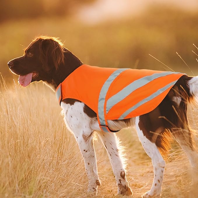 Kuoser Reflective Dog Vest, High Visibility Safety Vest for Medium to Large Dogs, Lightweight Pet Reflective Vests for Hunting Outdoor Activities Walking at Night, Blaze Orange 2XL