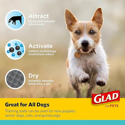 Glad for Pets Activated Charcoal Dog Training Pads, Small Size 17.5" x 23.5" Odor Absorbing, Pee Pads for Dogs Perfect for Training New Puppies, Charcoal, 120 Count - 2 Pack
