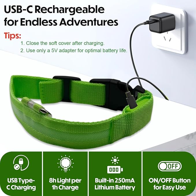 Light Up Dog Collar – Reflective, Adjustable & Rechargeable Electronic Glow Pet Collars – Bright, Comfortable, High Visibility LED Dog Collar for Night Safety, Outdoor Walk, Flashing Fun, Green, Large