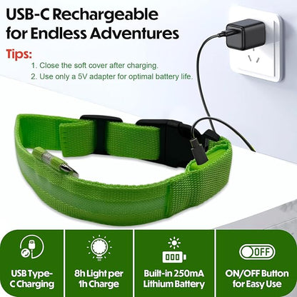 Light Up Dog Collar – Reflective, Adjustable, Rechargeable Electronic Glow Pet Collars – Bright, Comfortable, High Visibility LED Dog Collar for Night Safety, Outdoor Walk, Flashing Fun, Green, Medium