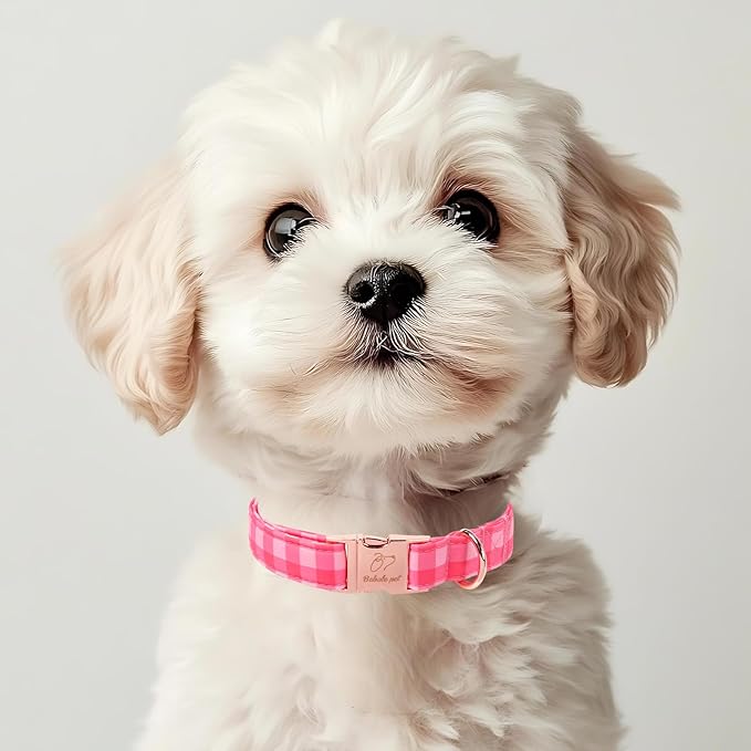 Pink Checkerboard Dog Collar, Classic Girly Plaid Dog Collars, Adjustable Heavy Duty Girl Dogs Collar for Small Medium Large Dogs with Metal Buckle S