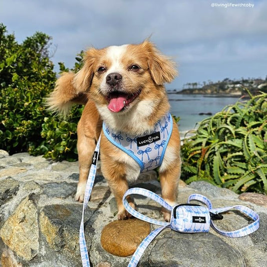 Lucy & Co. Dog Poop Bag Holder - Leak Proof Dispenser with Leash Attachment - Easy Refills - Hygienic Pet Poop Pickup - White with blue bows