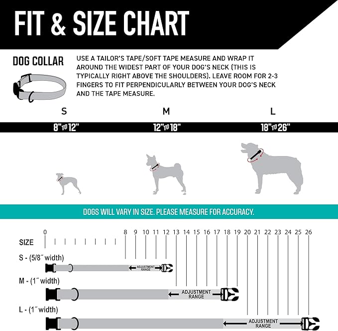 Wolfgang Heavy Duty, Adjustable Dog Collar with Quick Release Nylon Buckle for Walking & Training, LosMuertos Print, Medium