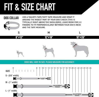 Wolfgang Heavy Duty, Adjustable Dog Collar with Quick Release Nylon Buckle for Walking & Training, LosMuertos Print, Large