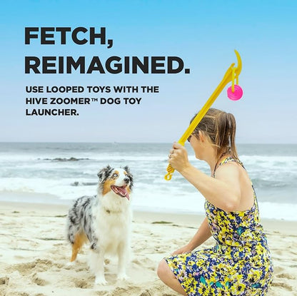 Project Hive Interactive Dog Toys - Set of 2 Looped Balls | Compatible with Hive Zoomer Dog Ball Thrower | Perfect for Fetch and Tug Play | Pink and Blue