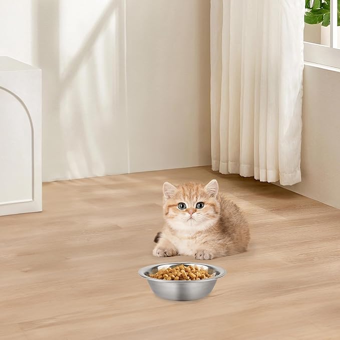 ZUFECY 2-Pack Cat Bowls, Stainless Steel Cat Bowl, Pet Food & Water Dishes, Non-Tip and Easy Clean Kitten Bowls for Small Cats, Indoor/Outdoor Use