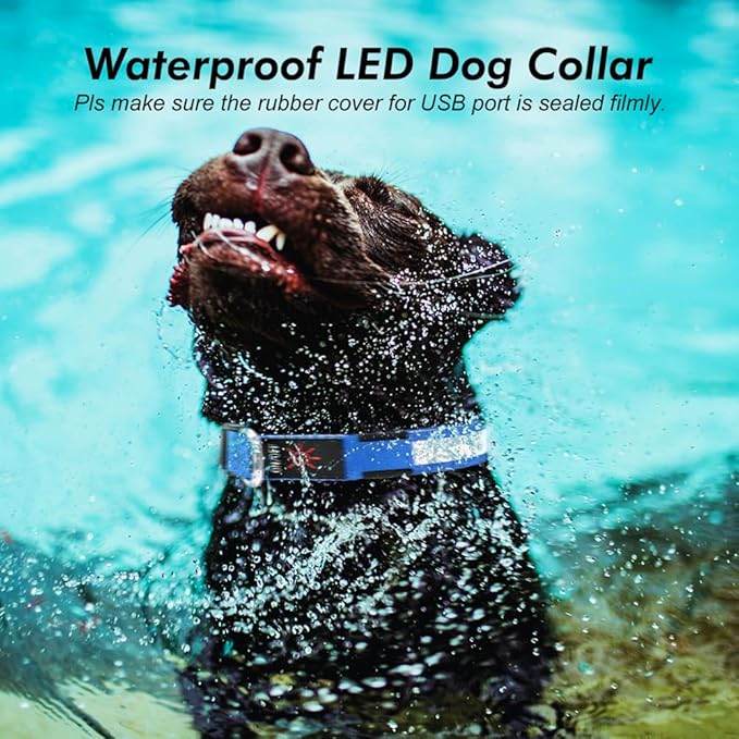 Illumifun LED Dog Collar, Fashion Rechargeable Dog Collar Glow in The Dark, Water-Resistant Safety Pet Collar for Your Dogs Walking at Night (Blue, Medium)
