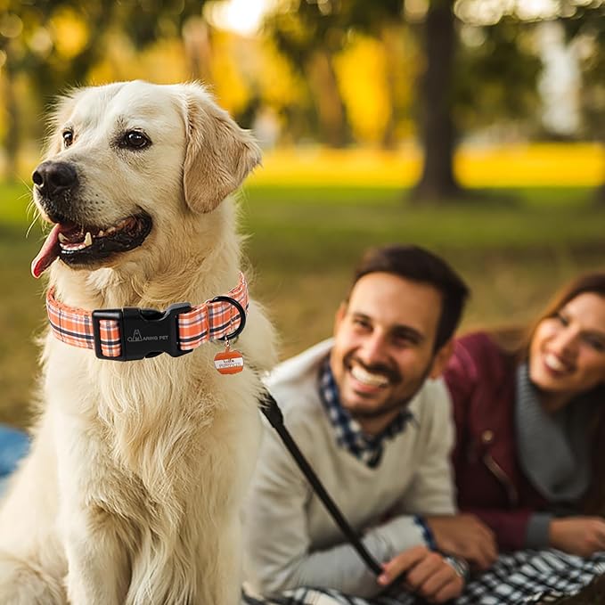 ARING PET Puppy Fall Dog Collar, Autumn Orange Black White Plaid Pet Collars for Small Medium Large Girl Boy Dogs Halloween-XL Size