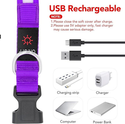 VIZPET LED Dog Collar, Light Up Dog Collar Adjustable USB Rechargeable Super Bright Safety Light Glowing Collars for Dogs (Purple, Large[18.89-23.62 inch/48-60cm])