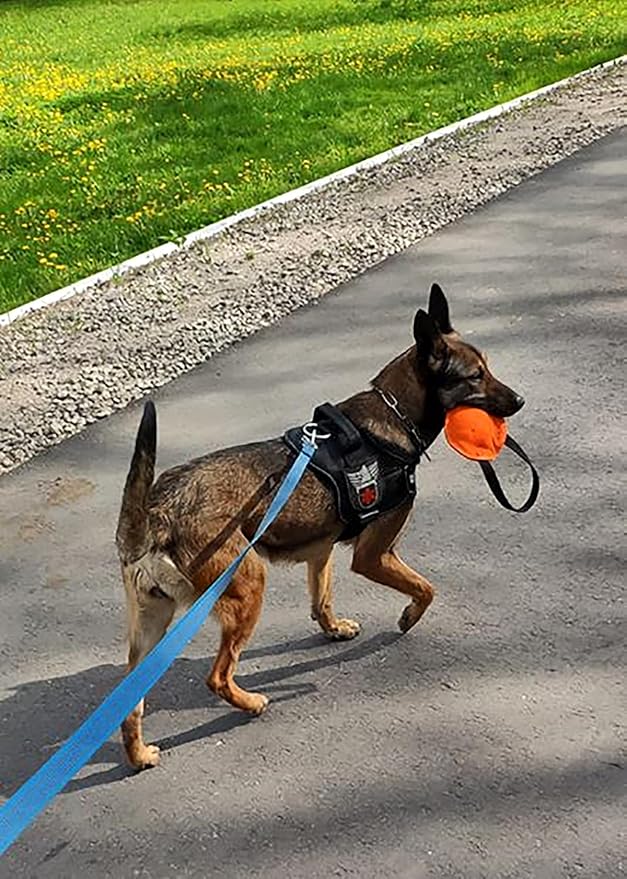 Dingo Gear Dog Tug Toy for Strong Dog, Bite Training, IGP, Fun, French Linen Barrel, 5,5x6,1" Orange Berta S00096