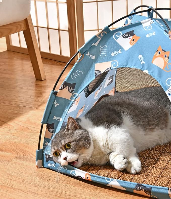 VEDEM Foldable Cat Teepee Tent for Indoor Cats, Pet Bed Outdoor Camping Tent for Small Dogs or Cats (Small, Blue)