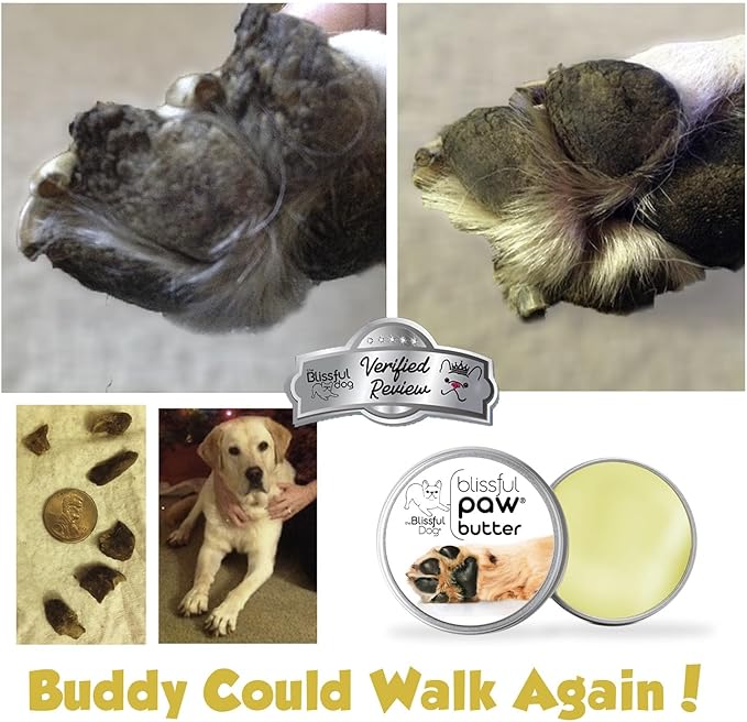 The Blissful Dog Paw Butter, Moisturizer for Dry Paw Pads, Softens and Protects a Rough Paw in Winter, Versatile, Lick-Safe Dog Paw Pad Balm, 2.25 oz.