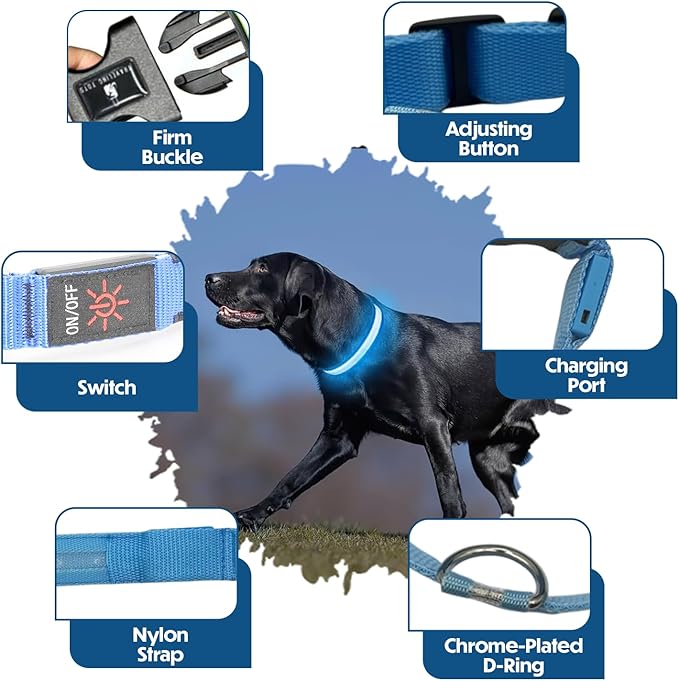 Light Up Dog Collar – Reflective, Adjustable & Rechargeable Electronic Glow Pet Collars – Bright, Comfortable, High Visibility LED Dog Collar for Night Safety, Outdoor Walk, Flashing Fun, Blue, Medium