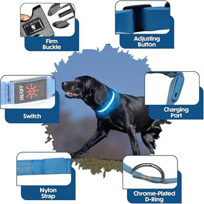 Light Up Dog Collar – Reflective, Adjustable & Rechargeable Electronic Glow Pet Collars – Bright, Comfortable, High Visibility LED Dog Collar for Night Safety, Outdoor Walk & Flashing Fun, Blue, Large