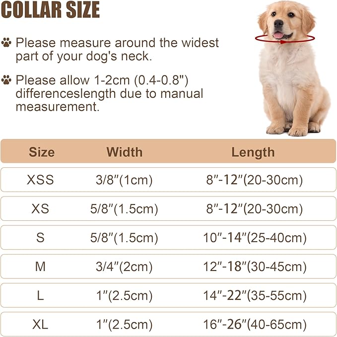 Reflective Dog Collar with Buckle Adjustable Safety Nylon Collars for Small Medium Large Dogs, Teal XS