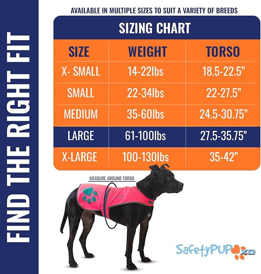 SafetyPUP XD Dog Reflective Vest – Hi-Vis Fluorescent Visibility That Helps to Safeguard Your Pet On/Off Leash in Urban & Rural Areas (Pink, Large)