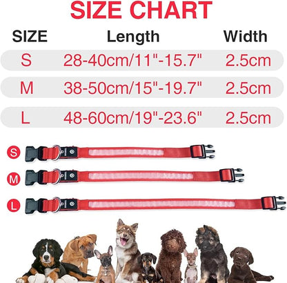 MASBRILL Light Up Dog Collars-LED Dog Collar Rechargeable Waterproof Lighted Dog Collar Night Walking Glow Collar for Small Medium Large Dogs