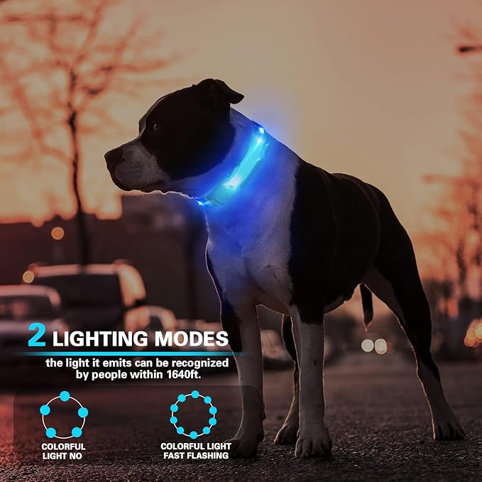 Dog Leash Light 2 Pack, LED Night Walking Safety Light for Collar Harness, Waterproof Glow Band with Nylon Stickers, Easy Clip-on Attachment for Small Large Dogs