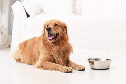 PEGGY11 Deep Stainless Steel Anti-Slip Dog Bowls - 2-Pack, 16 Cups