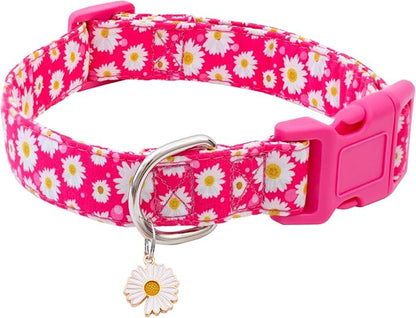 Faygarsle Cotton Dog Collar Cute Dog Collars for Small Medium Large Dogs Hot Pink Floral Colored Options Soft and Fancy Pet Collars for Girls Flower Pattern for Girl Dog Collar M