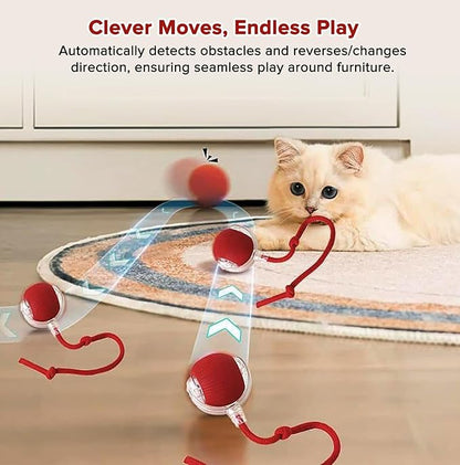 Interactive Cat Toy Ball for Indoor Cats, Motion Activated Cat Ball with 3 Speeds, 2 Replaceable Tails, Safe Material Kitten Toys, USB Charging, 360° Smart Rolling Ball for Bored Adult Cats and Dogs