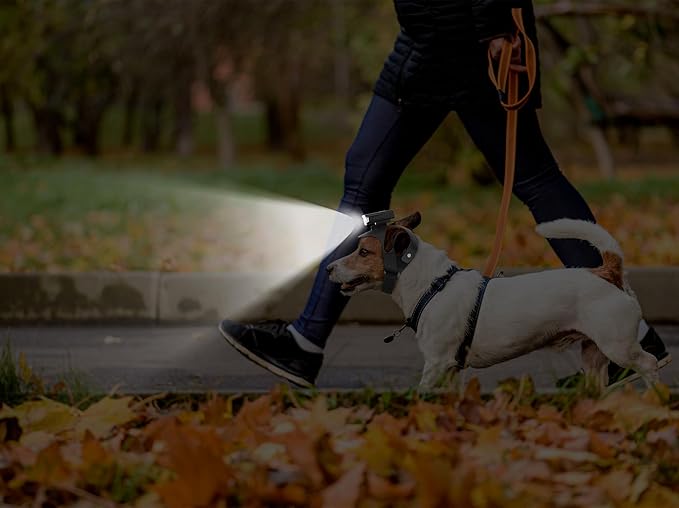 Dog Head Lights for Small and Medium Sized Dogs, 3 Light Modes Dog Collar Light, USB Rechargeable Waterproof Pet Walking Accessories, for Dog Lights for Night Walking Camping