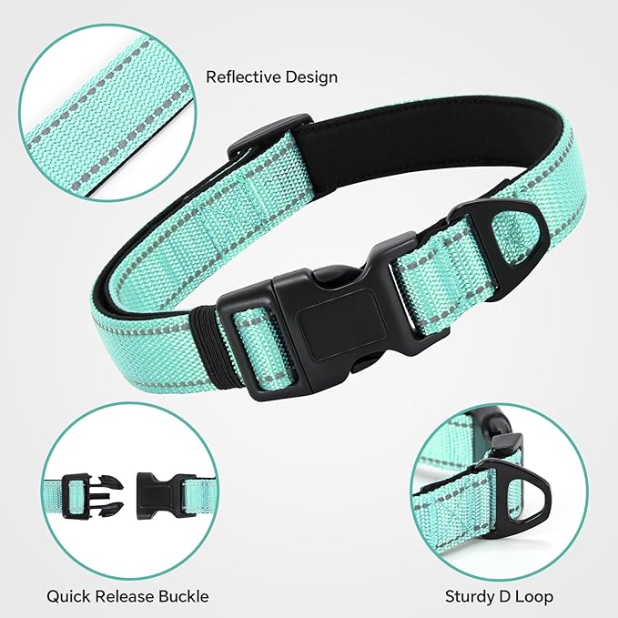 Reflective Dog Collar with Quick Release Buckle - Metal Ring - Adjustable Soft Neoprene Padded Basic Dog Collar for Small Medium Large Dogs (Teal, Small :Width 1",Neck 11.8-15.7")