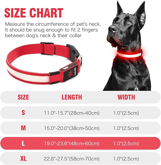 Illumifun LED Dog Collar, USB Rechargeable Light Up Dog Collar, Safety Glow Light for Your Pet Walking at Night (Red, Large)
