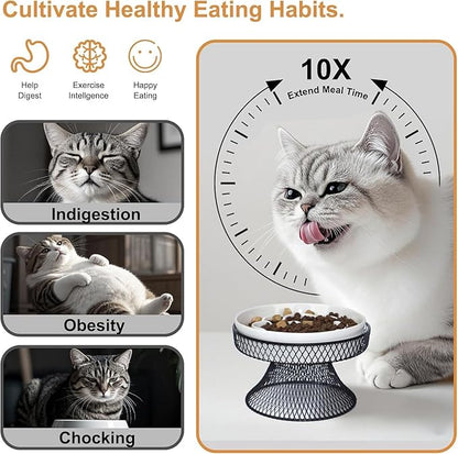 2PCS Raised Ceramic Cat Slow Feeder Bowl Elevated Food Bowl with Stand, Cat Slow Bowl for Wet Food and Dry Food,Slow Down Eating Speed, Whisker Friendly Pet Puzzle Feeder for Kitten and Small Dog