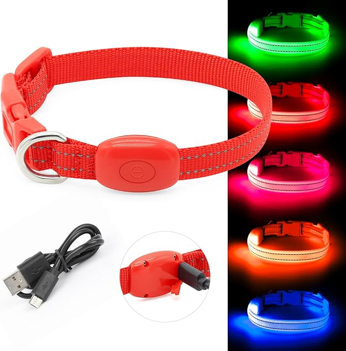 BSEEN LED Dog Collar - Rechargeable Light Up Dog Collar for Small Dogs& Cats, Reflective Adjustable Puppy Collar Safety Dog Lights for Night Walking (Red, XS)