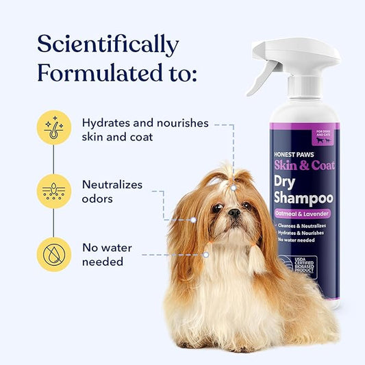 Honest Paws Dog Dry Shampoo - Waterless No Rinse Spray Formula Reducing Itch Cleanse Hydrate Nourish Dry Skin and Smelly Coat Help Decrease Odor Shedding and Allergies - Oatmeal & Lavender - 16 oz