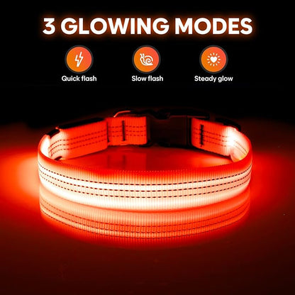 Illumifun LED Dog Collar USB Rechargeable Light Up Dog Collar, Reflective Pet Safety Collar Light Glow in The Dark (OrangeⅢ, Medium)