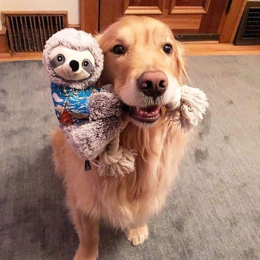 Fringe Studio Dog Toy, Slown' Dwn for Summer Sloth Pet Toy (289318)
