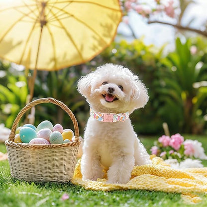 Easter Bunny Dog Collar, Cute Flower Bunny Easter Collar for Boy Girl Dogs, Adjustable Heavy Duty Spring Holiday Dog Collars for Small Medium Large Dogs with Metal Buckle XS